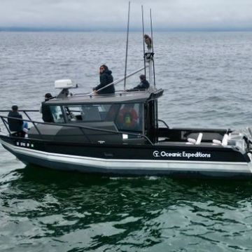 a small boat in a body of water